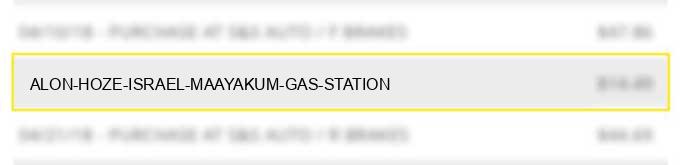 alon hoze israel maayakum gas station