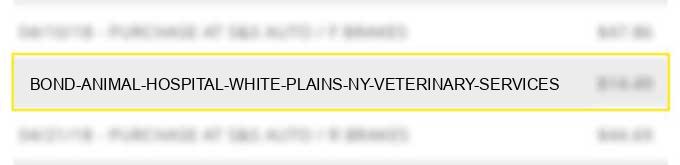 bond animal hospital white plains ny veterinary services
