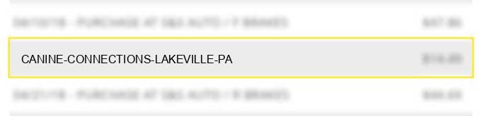 canine connections lakeville pa