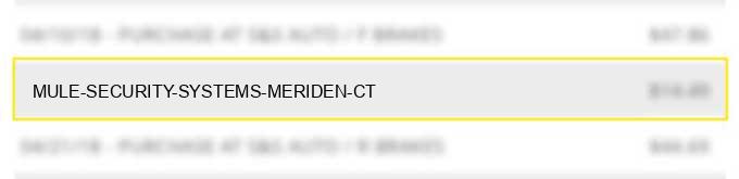 mule security systems, meriden ct