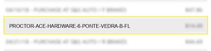 proctor ace hardware 6 ponte vedra b fl