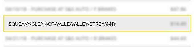squeaky clean of valle valley stream ny