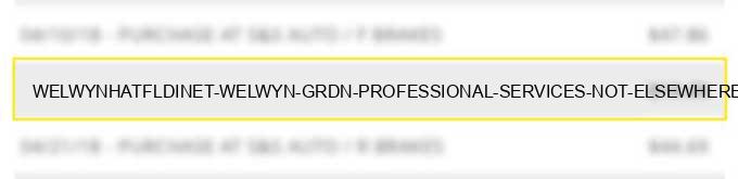 welwyn/hatfld/inet welwyn grdn professional services not elsewhere classified