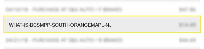 what is bcs*mpp south orange/mapl nj?