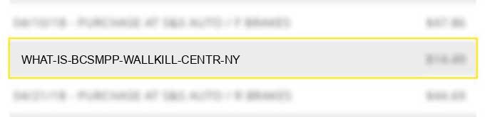 what is bcs*mpp wallkill centr ny?
