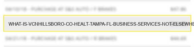 what is vcn*hillsboro co healt tampa fl business services not elsewhere classified?
